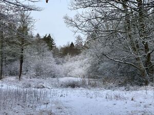 2026-01-11-winterwandeling-arv-2-kl